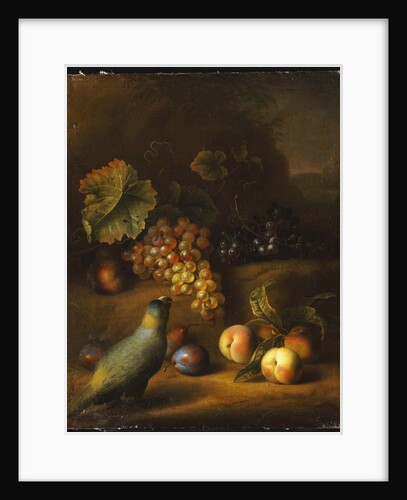A Parrot with Grapes, Peaches and Plums in a Landscape by Tobias Stranover