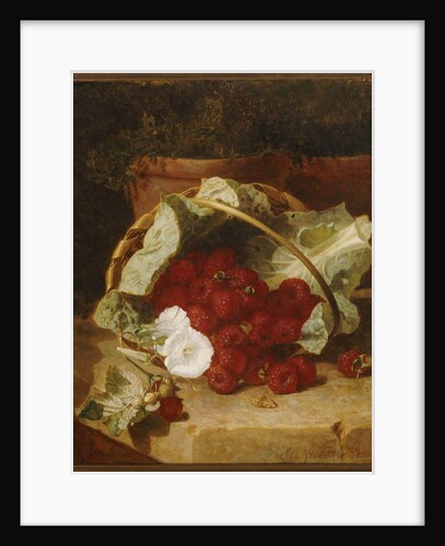 Raspberries in a Cabbage Leaf Lined Basket with White Convulvulus on a Stone Ledge, 1880 by Eloise Harriet Stannard
