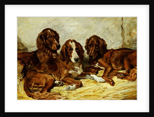 Shot and his Friends - Three Irish Red and White Setters, 1876 by John Emms