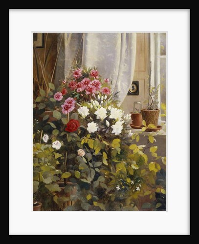 Azaleas, Geraniums, Roses and other Potted Plants by a Window, 1888 by Carl Christian Carlsen