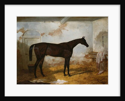 Mr A.W. Hill's Bay Colt 'Sweetmeat' in a Loose Box, 1845 by Harry Hall