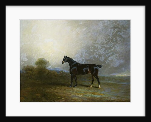 Bembo, a Favourite Hunter of Charles Shuttleworth, Esq., 1802 by Benjamin Marshall