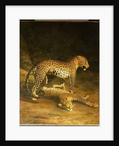 Two Leopards lying in the Exeter Exchange, 1808 by Jacques-Laurent Agasse