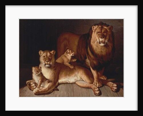 Pride of Lions by Jean-Baptiste Huet