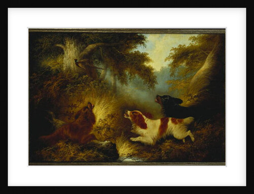 Spaniels putting up a Pheasant by George Armfield