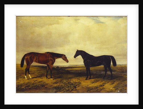 The Earl of Granard's bright bay filly and dark bay stallion, 1885 by William Snr. Luker