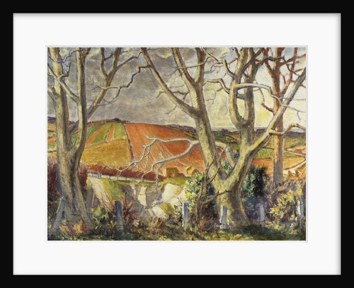 Dorset Chalk Quarry by Harry Morley