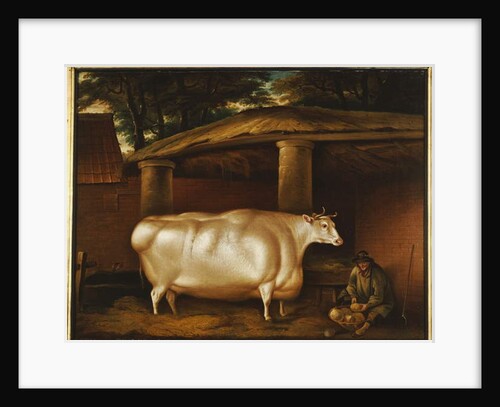 The White Heifer that Travelled, with a man slicing turnips in a stable yard, 1811 by Thomas Weaver