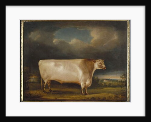 Comet, a light roan short-horn bull in a landscape, 1811 by Thomas Weaver