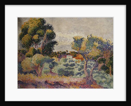 Eucalyptus and Olive Grove by Henri-Edmond Cross