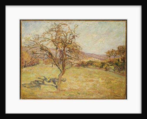 Landscape, 1890 by Jean Baptiste Armand Guillaumin