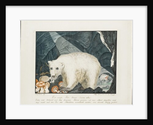 The White Bear, 1844 by Aloys Zotl