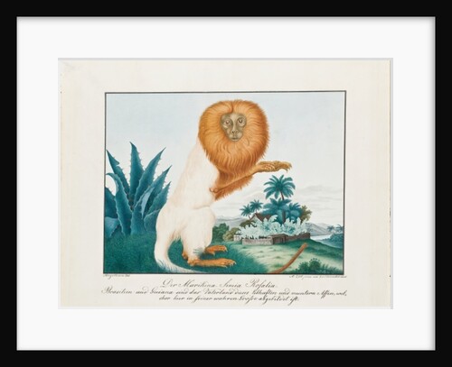 The White Saki, 1835 by Aloys Zotl