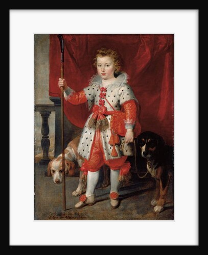 Portrait of a boy, traditionally called Francois de Boisschot by Cornelis de Vos