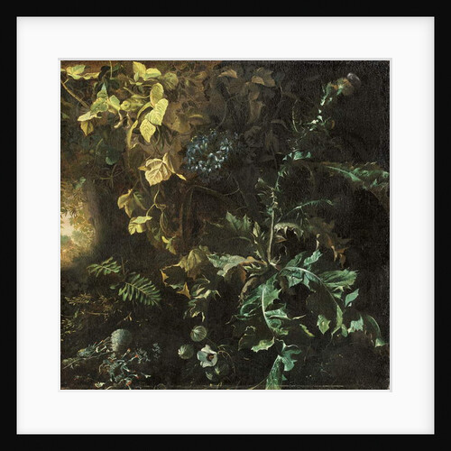 Thistles and other plants on a forest floor, a landscape beyond, fragment by Matthias Withoos
