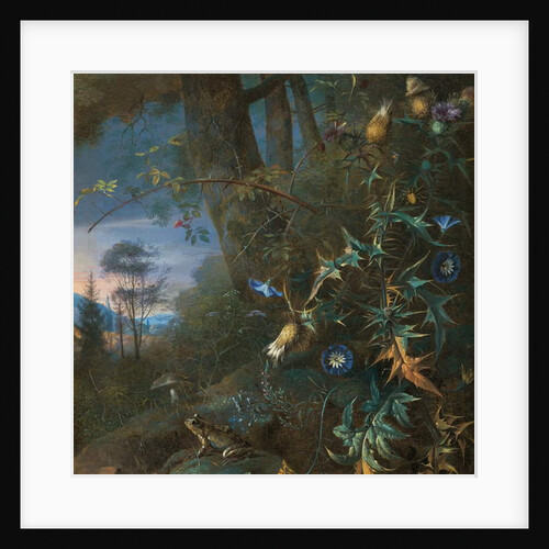 forest floor still life with a frog and a mushroom, mountains beyond by Matthias Withoos