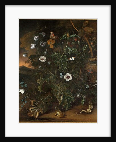 Thistles, brambles, poppies and other plants by Matthias Withoos