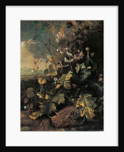 Forest floor with butterflies and lizards by Matthias Withoos