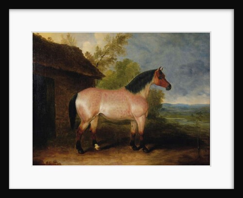 Red Rose, before a stable by Samuel Spode