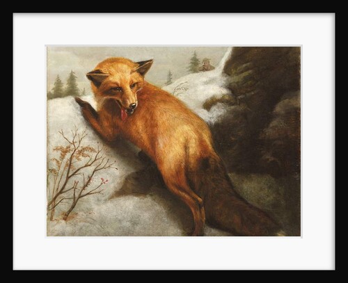 The Red Fox, 1870 by Abbott Handerson Thayer