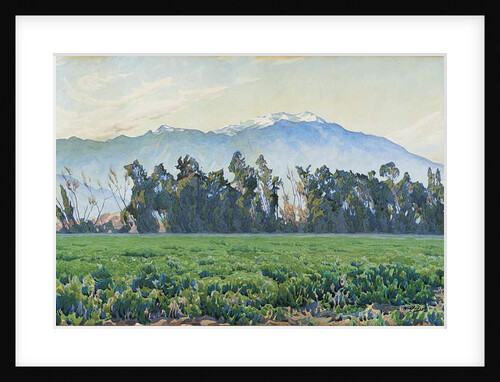 The Sierra Nevada Mountains by Gunnar Widforss