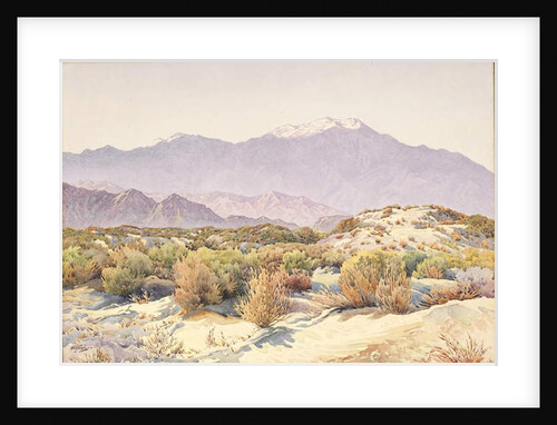San Jacinto by Gunnar Widforss