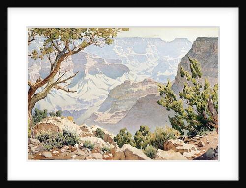Grand Canyon by Gunnar Widforss