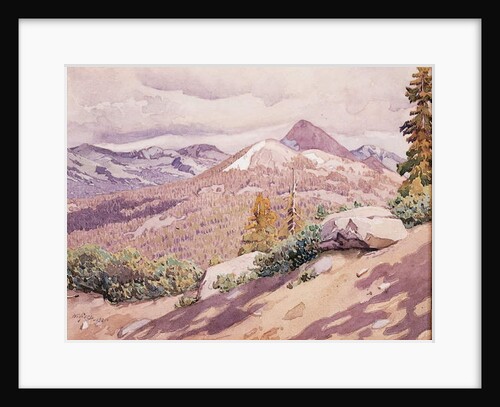 High Sierra, 1921 by Gunnar Widforss