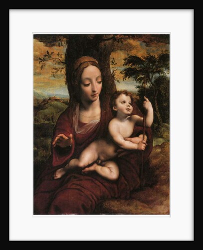 The Madonna and Child in a landscape by Cornelis van Cleve