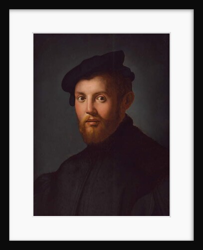 Portrait of a young man with a book by Agnolo di Cosimo Bronzino