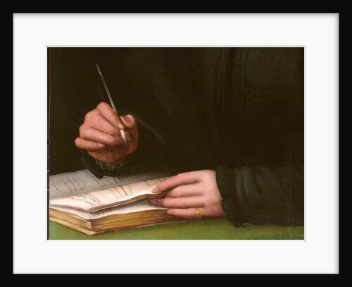 Portrait of a young man with a book by Agnolo di Cosimo Bronzino