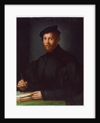 Portrait of a young man with a book by Agnolo di Cosimo Bronzino