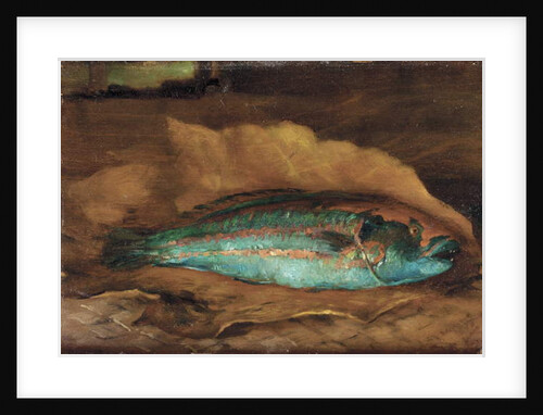 Study of the parrot fish, Samoa, 1890 by John La Farge or Lafarge