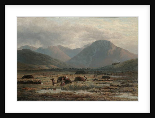 Peat Bog, Letterfrack, Connemara by Bartholomew Colles Watkins
