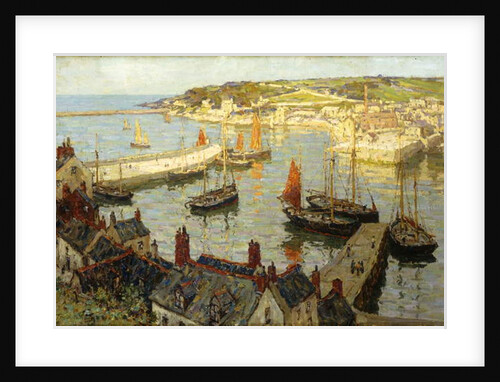 Brixham Harbour by Terrick Williams