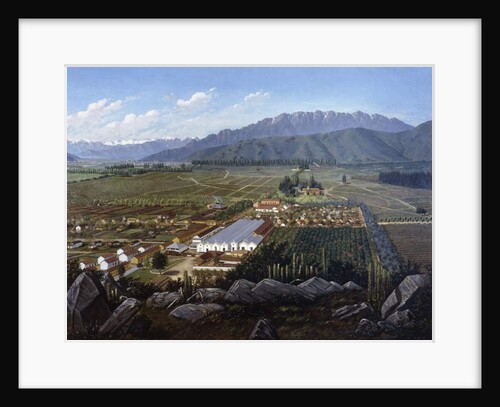 The Vineyard of Erranzuriz-Panquehue, Chile, 1896 by Daniel Escobar