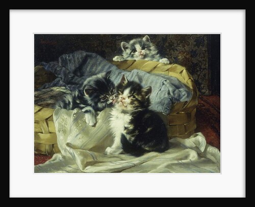 Playful Kittens by Julius Adam