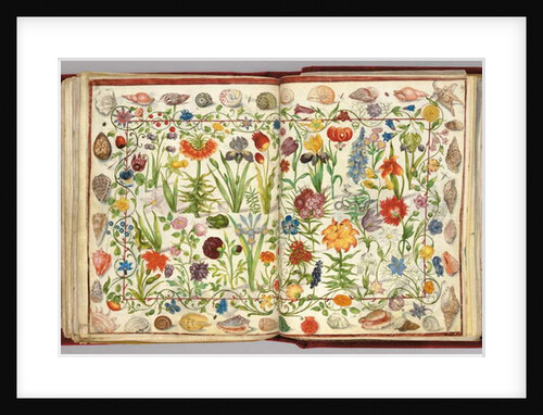 Pages from the Album Amicorum of Philipp Hainhofer, 1596-1633 by School European