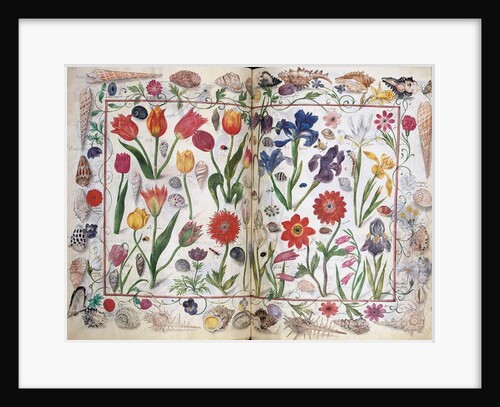 Pages from the Album Amicorum of Philipp Hainhofer, 1596-1633 by School European