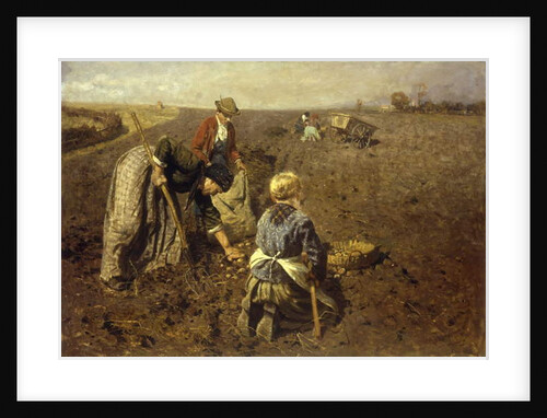The Potato Harvest by Herman Hartwich