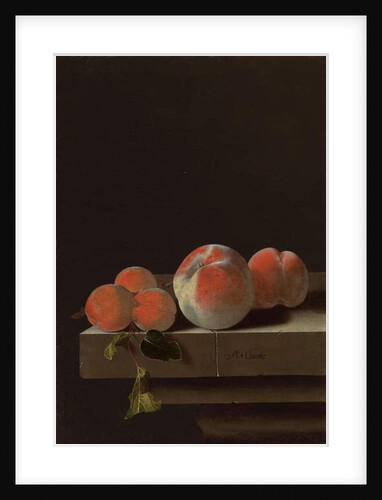 Peaches and apricots on a stone ledge by Adrian Coorte