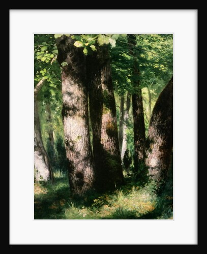 In the Forest of Fontainebleau by Pierre Auguste Renoir