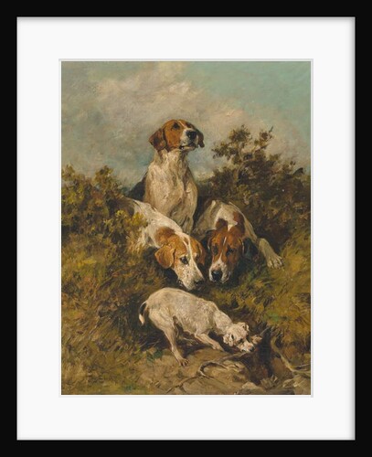 On the scent, 1992 by John Emms