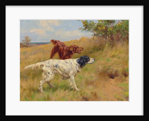 Setters, 2001 by Thomas Blinks