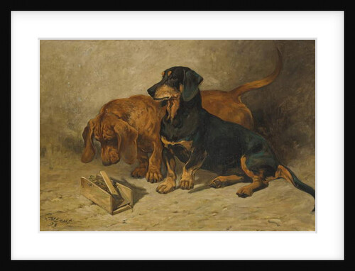 Dachshunds, 1993 by John Emms