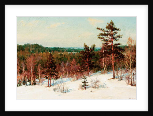 Winter - View over the Forest by Ivan Fedorovich Choultse