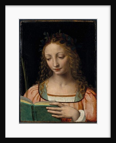 Bust length figure of saint, with a palm and reading the scriptures by Bernardino Luini