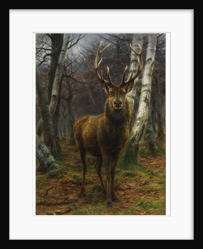 King of the Forest, 1878 by Rosa Bonheur