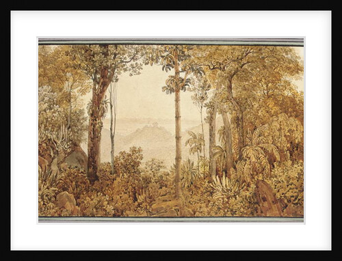 View overlooking Rio de Janeiro from the Tijuca forest by Thomas Ender