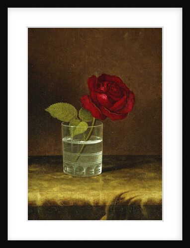 A Red Rose, by Martin Johnson Heade